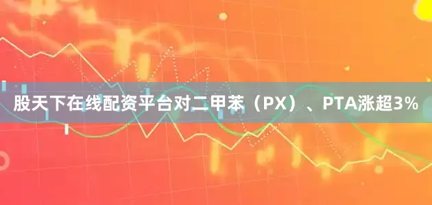 股天下在线配资平台对二甲苯（PX）、PTA涨超3%