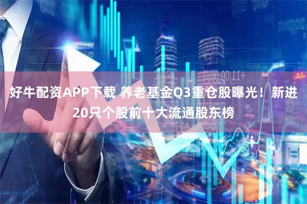 好牛配资APP下载 养老基金Q3重仓股曝光！新进20只个股前十大流通股东榜