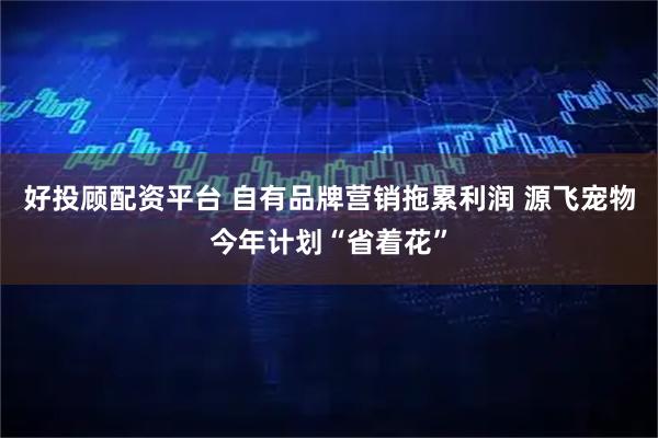 好投顾配资平台 自有品牌营销拖累利润 源飞宠物今年计划“省着花”